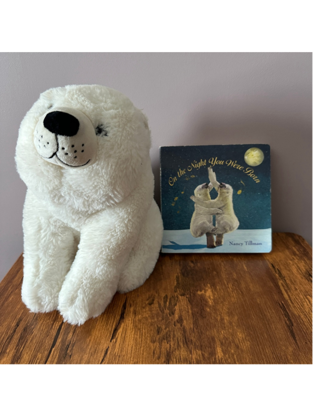 Kohl's Cares Polar Bear Plush & On the Night You Were Born Book
